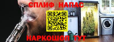 индика Пугачёв