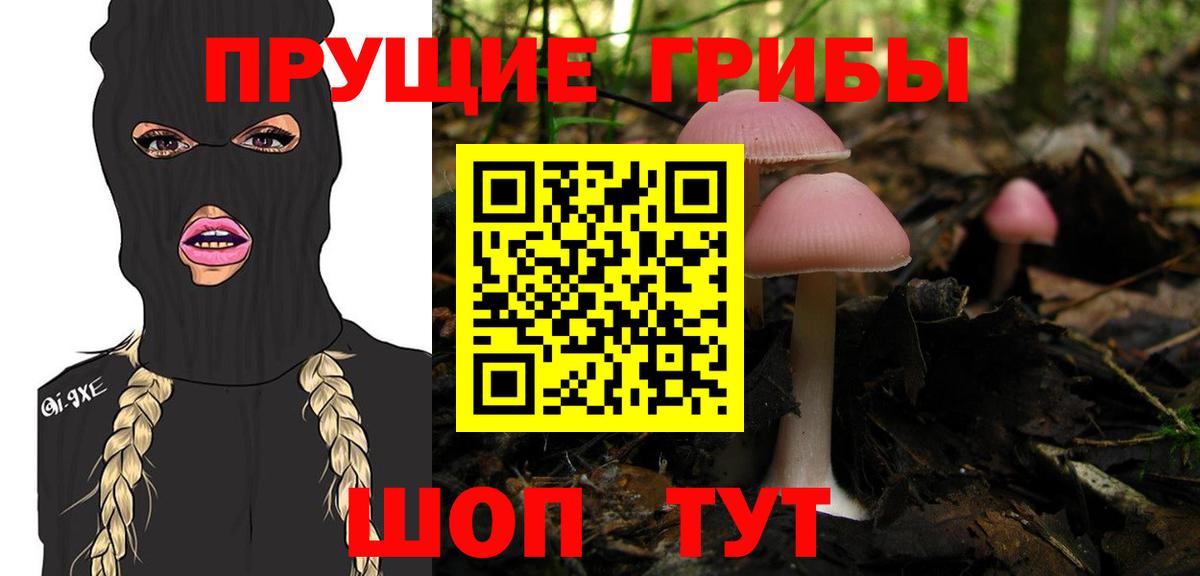 Галлюциногенные грибы GOLDEN TEACHER Новокуйбышевск