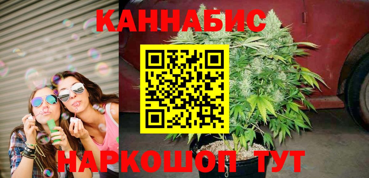 Бошки марихуана планчик  Каннабис марихуана  Вход с VPN  Конопля конопля  Новокуйбышевск 